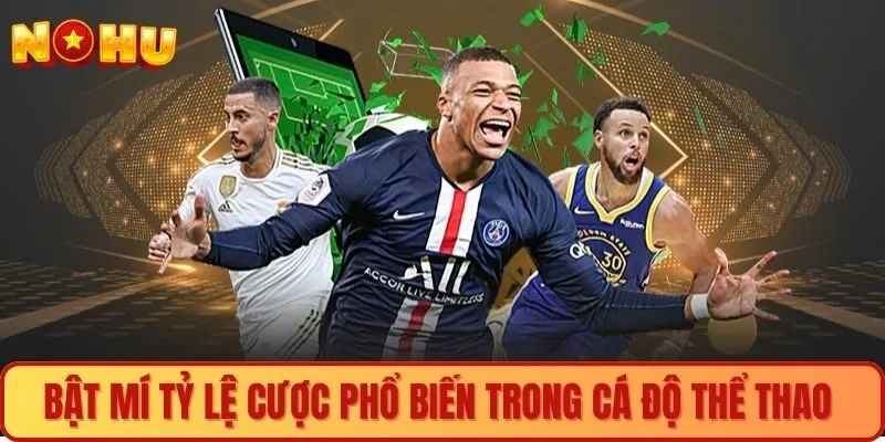 Bật mí tỷ lệ cược phổ biến trong cá độ thể thao 