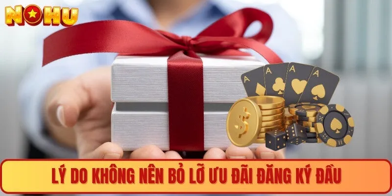 Lý do không nên bỏ lỡ ưu đãi đăng ký đầu 